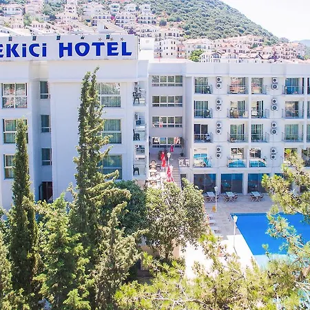 Otel Ekici 3*